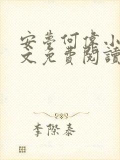 安梦何伟小说全文免费阅读最新章节