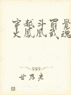 穿越斗罗觉醒邪火凤凰武魂