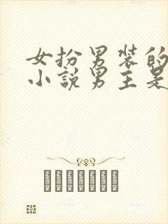 女扮男装的古言小说男主是皇帝