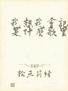 我想我会记得你是什么歌里的歌词