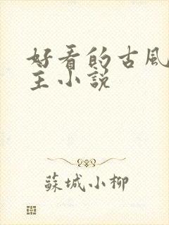 好看的古风双男主小说