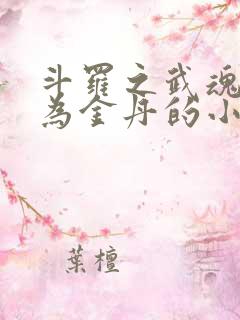 斗罗之武魂进化为金丹的小说