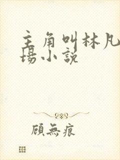 主角叫林凡的官场小说