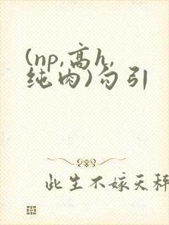 (np,高h,纯肉)勾引