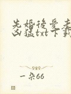 先婚后爱老公很凶猛txt下载