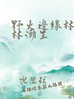野火边缘林晚晚林潮生