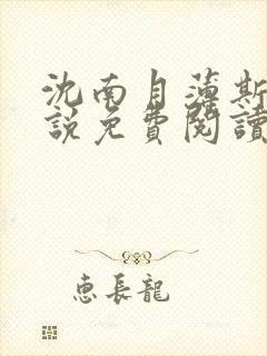 沈南月薄斯臣小说免费阅读最新章节