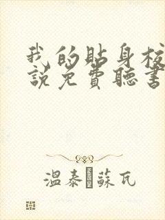 我的贴身校花小说免费听书软件