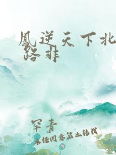 凤逆天下北月篇 路非