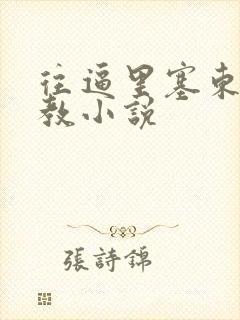 往逼里塞东西调教小说