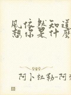 风依然知道我在想你是什么歌