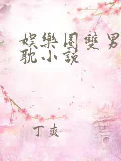 娱乐圈双男主原耽小说