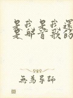 是我是我还是我是哪首歌的歌词