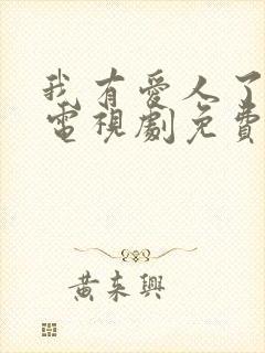 我有爱人了韩剧电视剧免费观看全集国语版