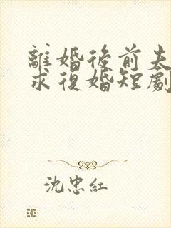 离婚后前夫哭着求复婚短剧免费观看