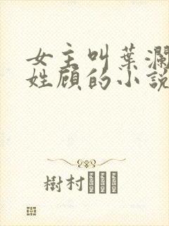 女主叫叶澜男主姓顾的小说