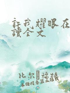 许我耀眼在线阅读全文