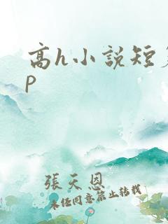 高h小说短篇np