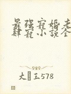 最强宠婚老公放肆宠小说全文免费