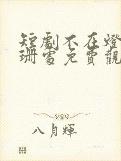 短剧不在灯火阑珊处免费观看