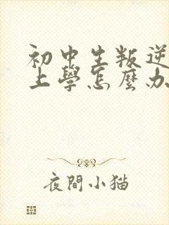 初中生叛逆不想上学怎么办