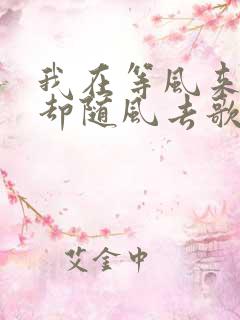 我在等风来,你却随风去歌词是什么歌