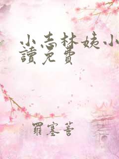 小志林姨小说阅读免费