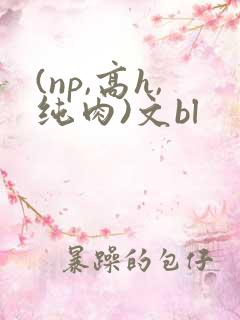 (np,高h,纯肉)文bl