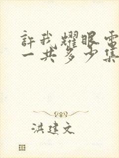 许我耀眼电视剧一共多少集啊