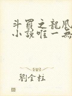 斗罗之龙凰传说小说唯一无双