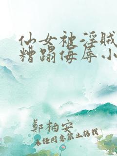 仙女被淫贼强行糟蹋侮辱小说