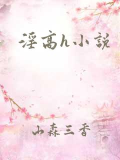 淫高h小说