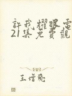 许我耀眼电视剧21集免费观看