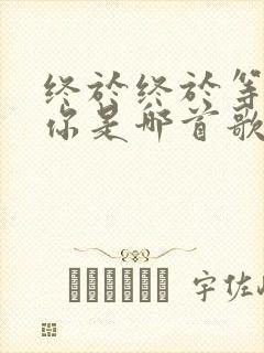 终于终于等到了你是哪首歌