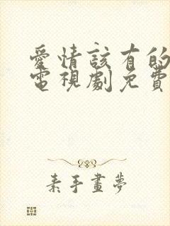 爱情该有的样子电视剧免费观看