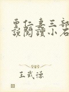 曹仁妻三部曲小说阅读小石