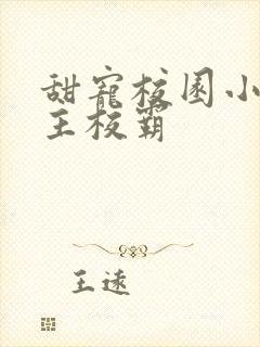 甜宠校园小说男主校霸