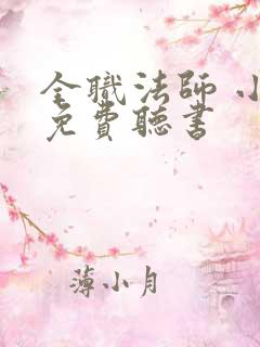 全职法师 小说免费听书