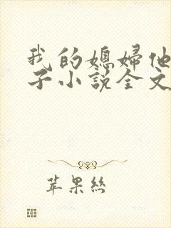 我的媳妇他的妻子小说全文阅读