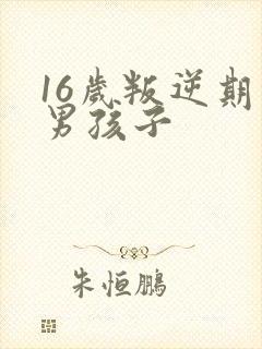 16岁叛逆期的男孩子