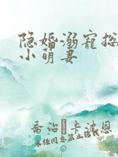 隐婚溺宠总裁的小萌妻