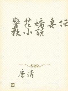 警花娇妻任务调教小说