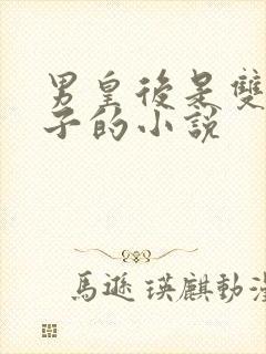 男皇后是双性生子的小说