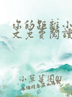 你的距离小说全文免费阅读无删减