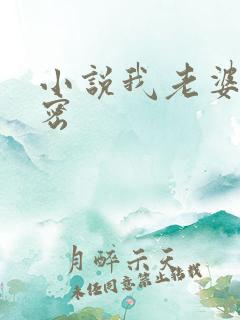小说我老婆的秘密