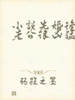 小说先婚后爱:老公很凶猛免费阅读