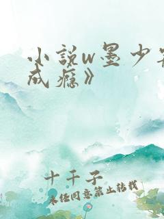 小说w墨少宠妻成瘾》