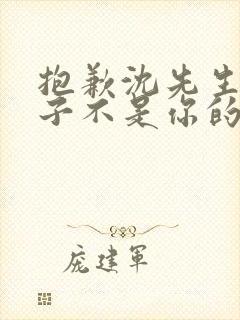 抱歉沈先生,孩子不是你的免费观看短剧