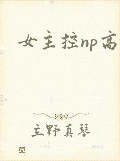女主控np高h