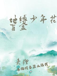 地缚少年花子君盲盒